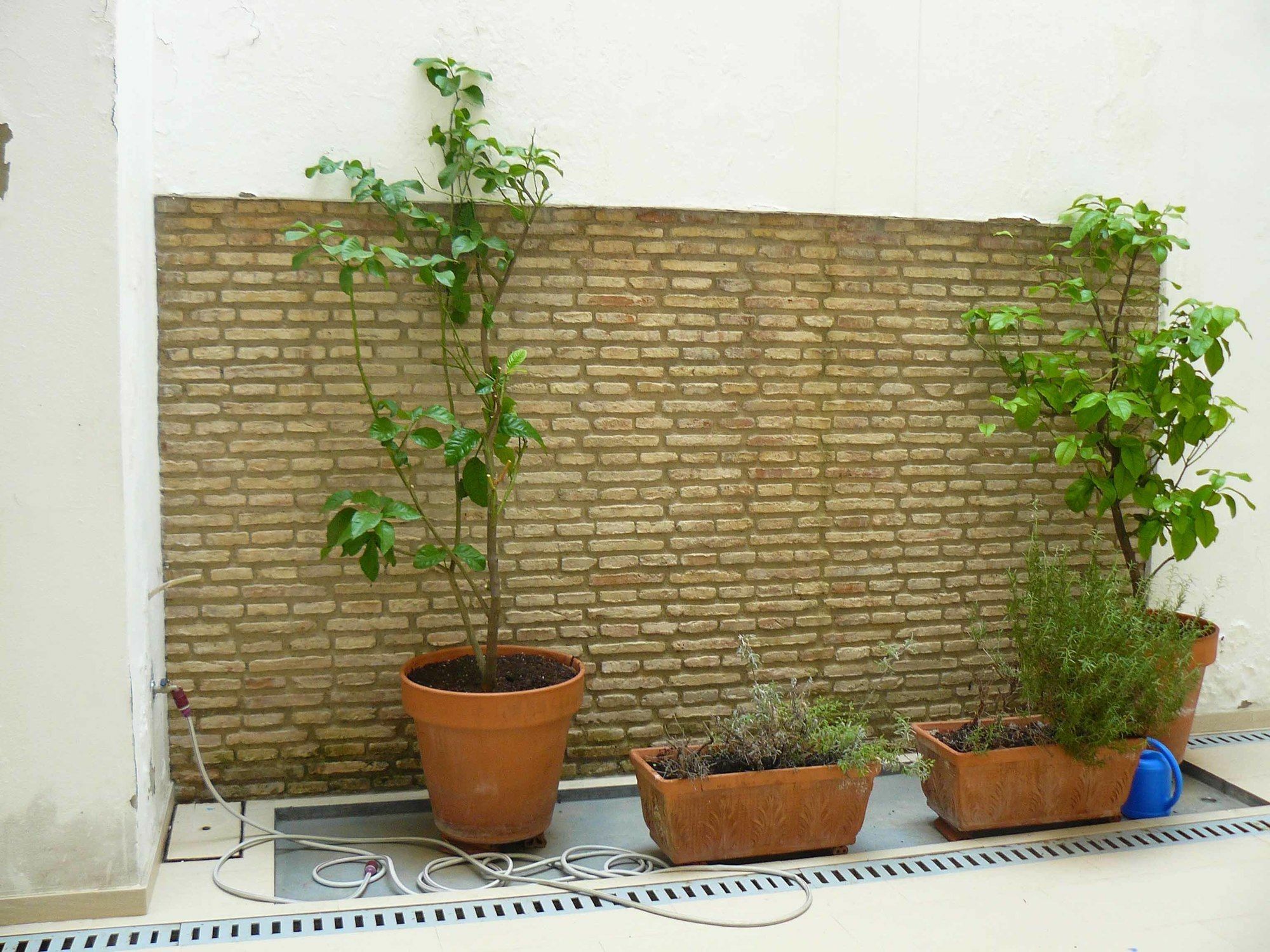 Alfaqueque Apartment Sevilla Dış mekan fotoğraf